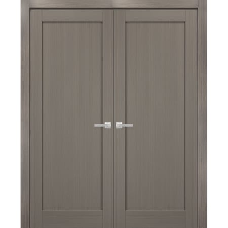 Sartodoors Double French Interior Door, 48" x 80", Gray QUADRO4111DD-KS-48